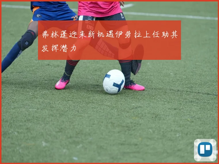 弗林蓬迎来新机遇伊劳拉上任助其发挥潜力