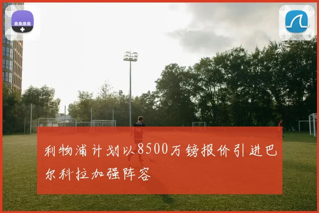 利物浦计划以8500万镑报价引进巴尔科拉加强阵容